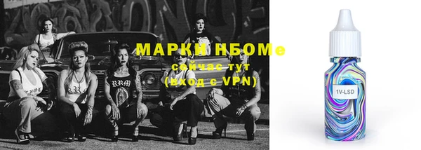 шишки Новозыбков
