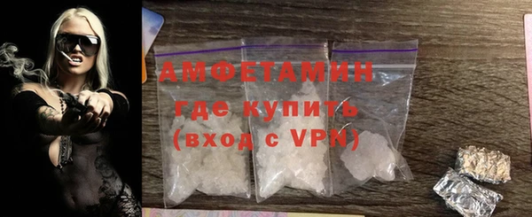 шишки Аркадак