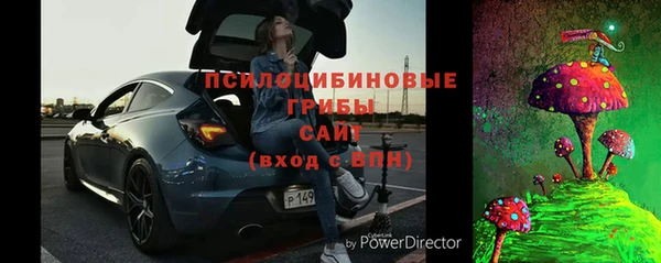 шишки Аркадак