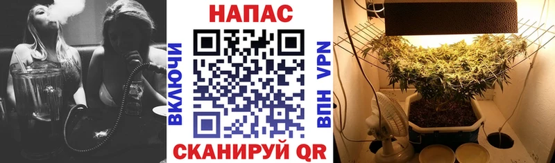 Канабис Ganja  omg зеркало  Старый Крым 